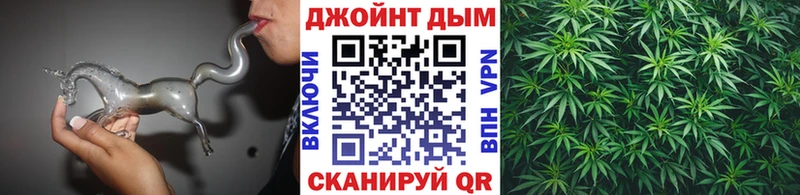 Каннабис сатива Купить Чудово